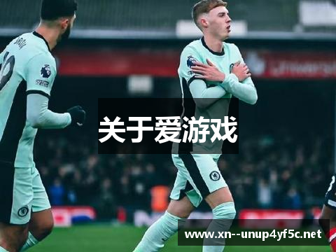 关于爱游戏